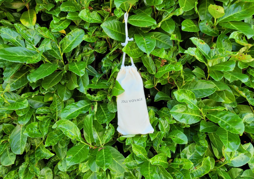 Une alternative hygiénique et écologique au papier toilette