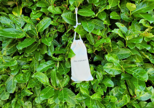 Une alternative hygiénique et écologique au papier toilette